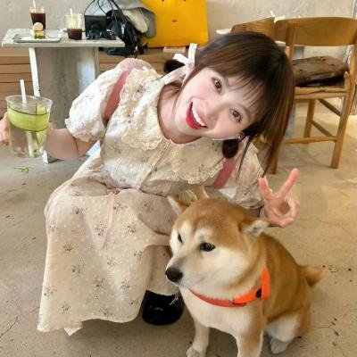 长腿叔叔 海报