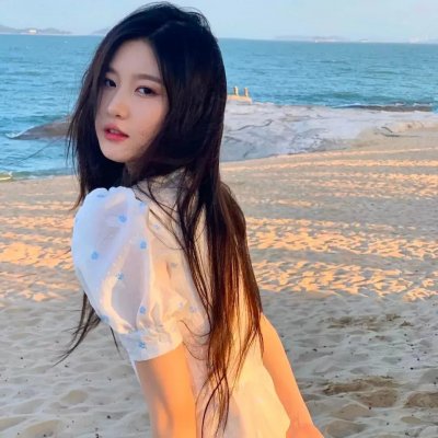 执法女先锋 海报